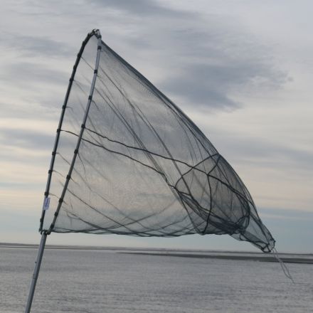 Fishfighter Whitebait  12' Spare Net Bag with Trap
